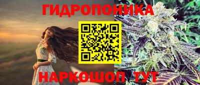 дмт Донецк