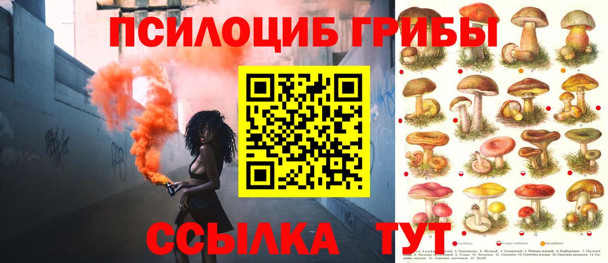 Мыски  где купить наркоту  Вход с VPN  Галлюциногенные грибы MAGIC MUSHROOMS 